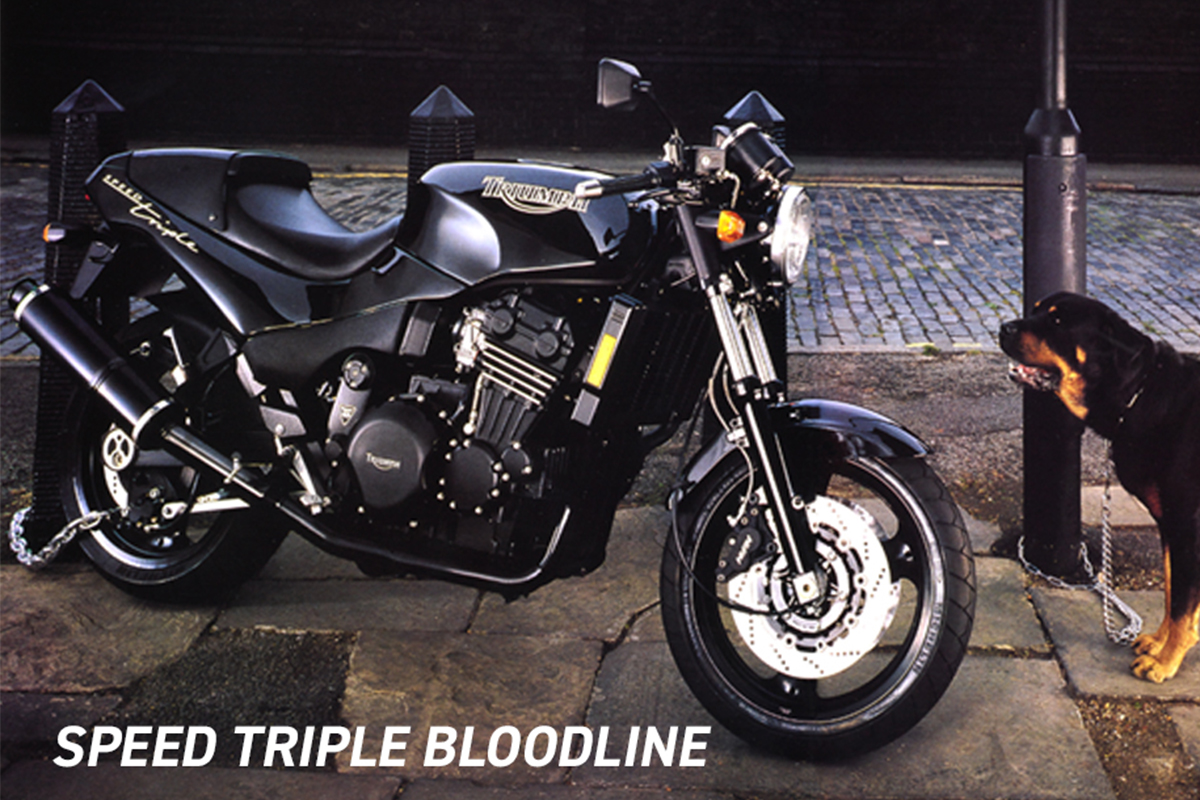 Triumph Triple Street 1200 RS Launched at Rs 16.95 Lakhs