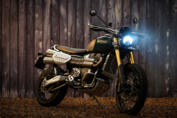 Triumph Street Scrambler 900 Sandstorm & Scrambler 1200 Steve McQueen Edition Launched 