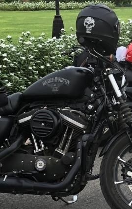 Harley-Davidson Iron 883 2017