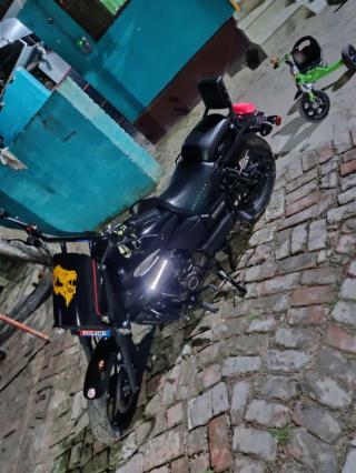 UM Renegade Sport S 2018