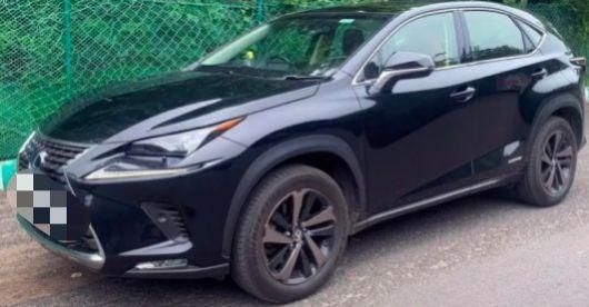 Lexus NX 300h Luxury 2019