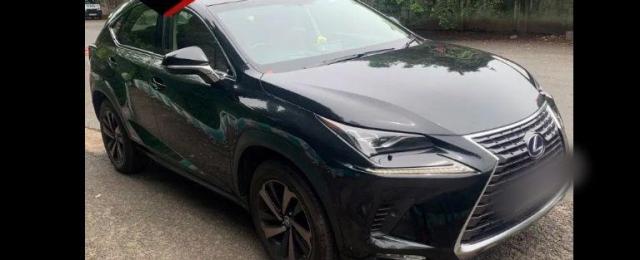 Lexus NX 300h Luxury 2019