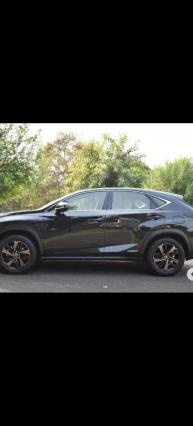 Lexus NX 300h Luxury 2019