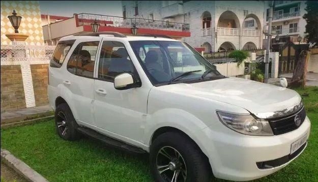 safari storme lx