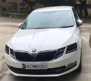 Skoda Octavia 2.0 TDI CR Style 2019