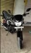 Honda Dream Yuga 110cc 2016