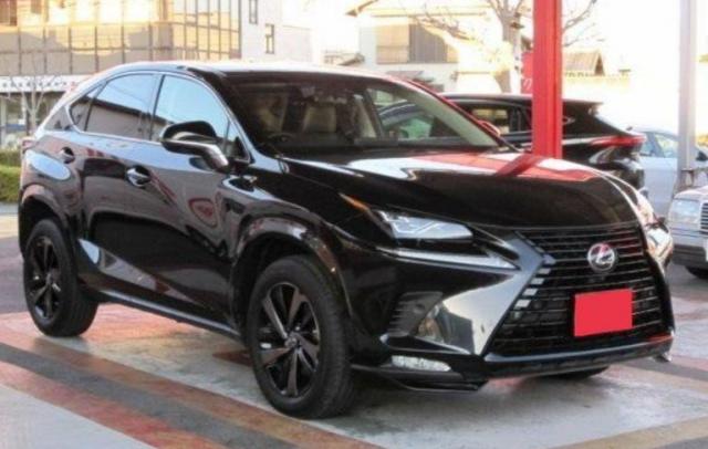 Lexus NX 300h Luxury 2019