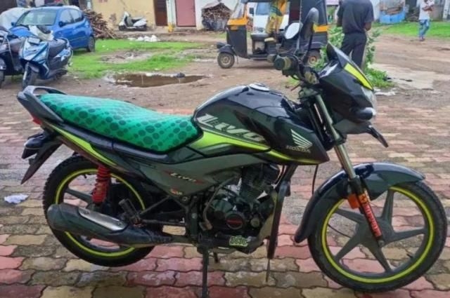 Honda Livo 110cc 2018