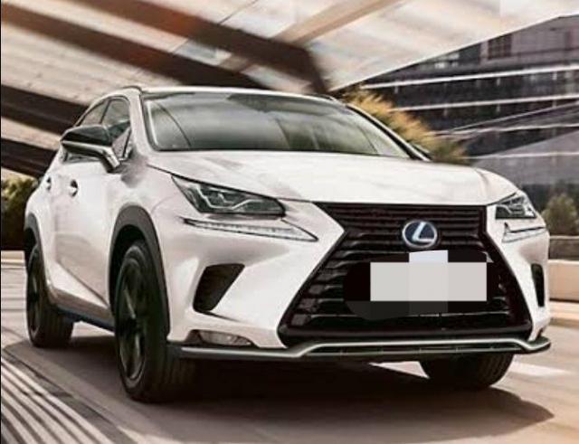 Lexus NX 300h Luxury 2019