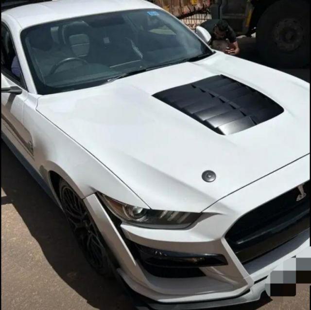 Ford Mustang GT Fastback 5.0L V8 2019