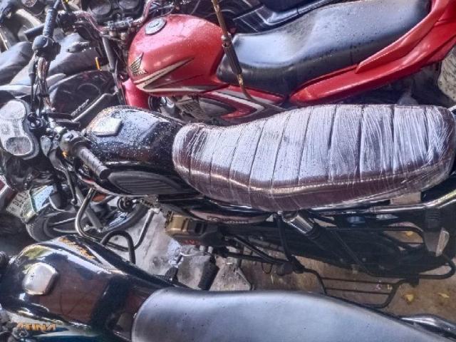 TVS Radeon 110cc Dual Tone Disc 2022 2023