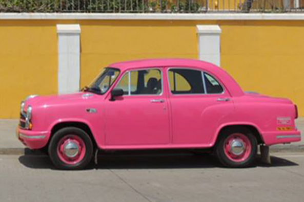 Sunny Leone Dreams Pink Car