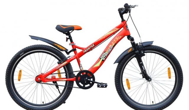 tata standard cycle