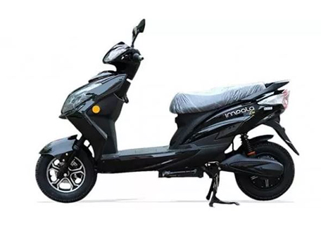 Impala Cellera 2022 V4835-Li