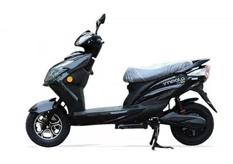 Impala Ziba 2022 V4835-Li