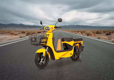 Odysse Trot 2025 STD