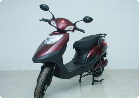 Shema Zoom 2020 48V-24AH