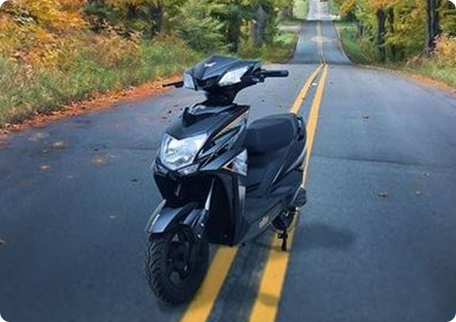 Shema Eagle 2020 48V-24AH