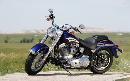 Harley-davidson Softail 2021 Standard BS6