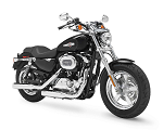 Harley-davidson 1200 Custom 2019 1200CC
