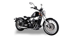 Regal Raptor Bobber 2019 350